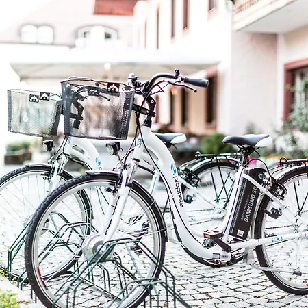 Salzburg Holznerwirt Hotel