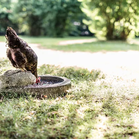 Salzburg Holznerwirt Szálloda 4*